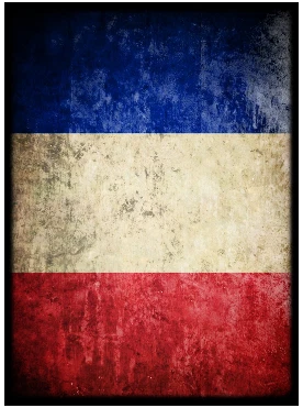 Max Protection 50 MTG Standard Card Sleeves Flag France - Image 1 of 3