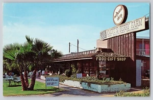 Postcard East 'N West Shop Phoenix Arizona - Picture 1 of 3