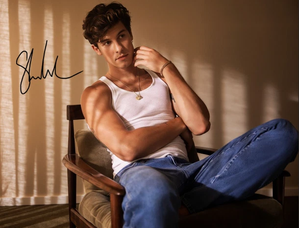 SHAWN MENDES SIGNED AUTOGRAPHED REPRINT 8X10 11X17 13X19 COLOR POSTER PHOTO CD - Image 1 of 1