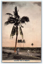Singapore Postcard Cocoa-Nut Trees Two Men Standing Near c1910 Antique