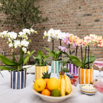 Kolibri Home | Painted Stripe Ziertopf - Türkis - Ø9cm - Mediterraner Flair für  - Bild 1 von 3