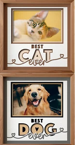 3D Best Dog or Cat Picture Frame - Picture 1 of 6