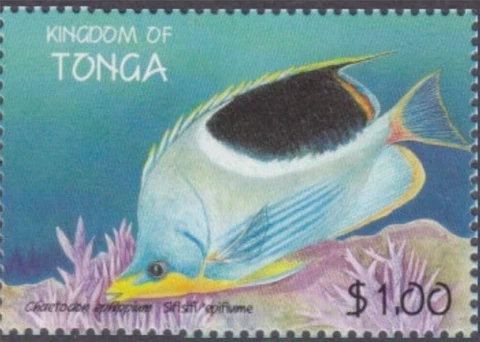 Tonga #SG1442 MNH 1998 Chaetodon ephippium [1008c] Cover