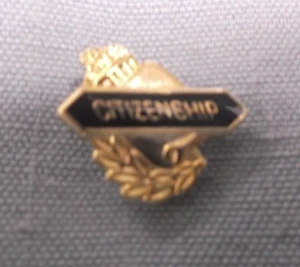 CITIZENSHIP pin blue enameled - Picture 1 of 1