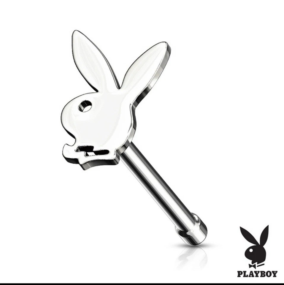 Anillo nariz de conejo Playboy calibre 20 hueso perno de acero quirúrgico nuevo Foto 1 de 1