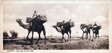 Posted Non-Standard 2'12x5'12 inches (7cmX14.5cm) Egypt Postcard
