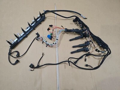 Arnés de cableado del motor BMW 530xi 2006-2007 con tapones y bobinas de riel inyector de combustible Foto 1 de 4