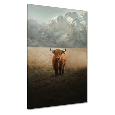 Leinwand Bild Wandbild Canvas Print Schottische Kuh Nr. H8405_PC - Bild 1 von 4