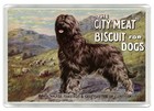 BRIARD DOG FRIDGE MAGNET GREAT GIFT
