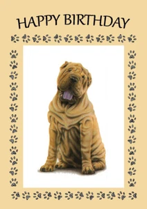 SHAR PEI HUND TOLLE GEBURTSTAGSGRUSSE NOTIZKARTE - Bild 1 von 1
