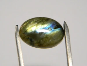 10.79 Carats Natural Multicolor Labradorite Cabochon Gemstone Oval MLB37 - Picture 1 of 4