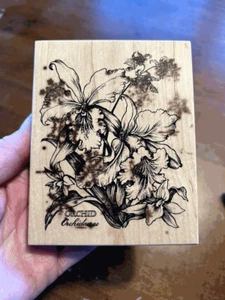 Rubber Stamp PSX K-1441 ORCHID BOTANICAL FLORAL Flowers - Picture 1 of 2