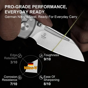 Kizer Cutlery Parakeet Folding Knife 2.5" Nitro V Steel Blade Acrylic Handle - Picture 1 of 18