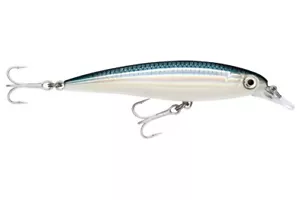 ANGELKÖDER RAPALA X RAP SALTWATER SXR 10 cm BFH (Live Baifish) Farbe - Bild 1 von 1