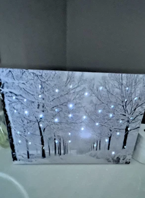 Light-Up Winter Scene Wall Art – Snowy Tree Path – LED Canvas Picture – Battery - Image 1 of 4