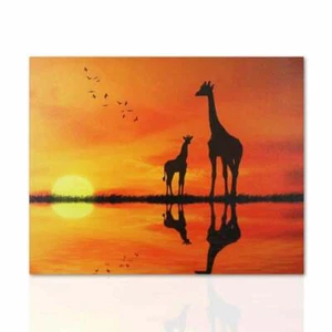 Savana - Picture 1 of 6