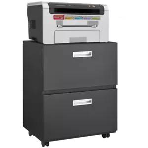 2-Door Office Copier Cabinet Steel Mobile Pedestal File & Printer Stand, Black - Picture 1 of 16