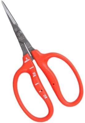 CHIKAMASA Stainless Steel Grape Scissors B-500S Orange B500S - Image 1 of 4