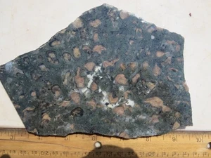 1710 MARY ELLEN JASPER SLAB, GREAT FOSSIL STROMATOLITES. BIWABIK, MN. - Picture 1 of 3