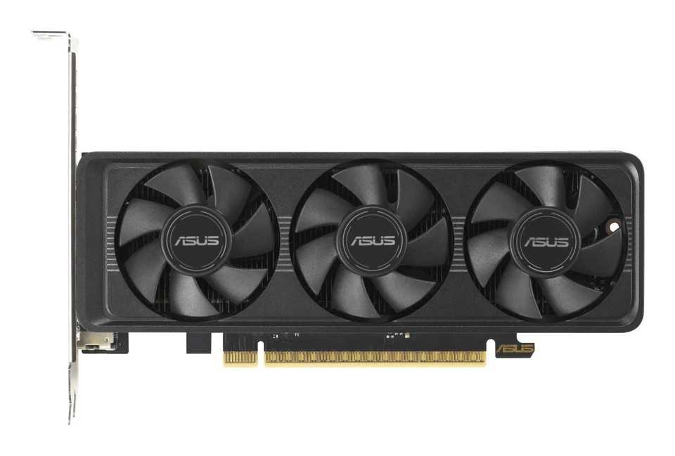 ASUS GeForce RTX 5060 OC LP BRK GDDR7 2xHDMI 1xDP Scheda 90YV0N90-M0NA00