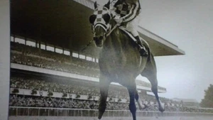 secretariat ride to the triple crown limited edition 11x14 belmomt autographed - Picture 1 of 6