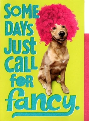 Divertida Feliz Cumpleaños Elegante Vestir Perro Peluca Sello Tarjeta de Felicitación Foto 1 de 3