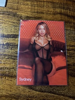 Lencería sexy de tarjetas coleccionables personalizadas brillantes Sydney Sweeney de doble cara excelentes jeans Foto 1 de 2