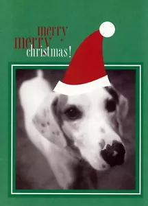 Cute MERRY CHRISTMAS Card + Envelope, White Dog Face Hat Santa Dalmatian Terrier - Picture 1 of 5