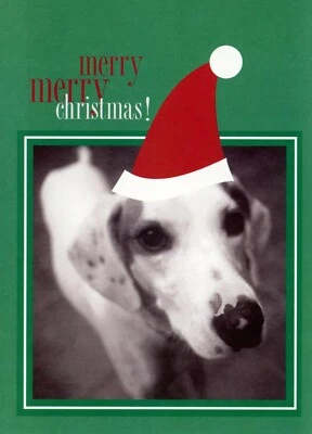 Linda Tarjeta FELIZ NAVIDAD + Sobre, Sombrero Blanco Cara de Perro Santa Dálmata Terrier Foto 1 de 4