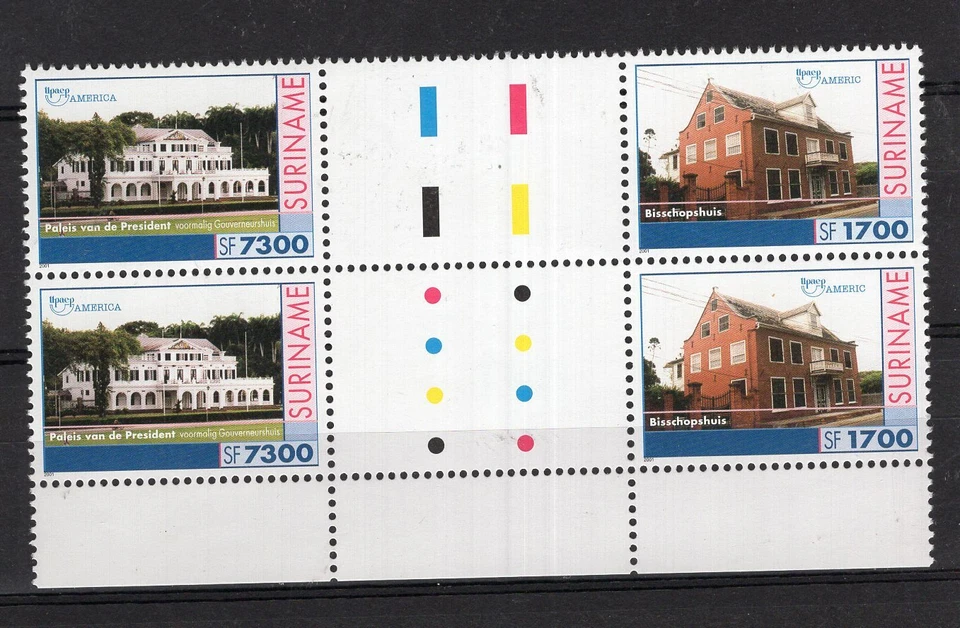 SURINAM - UPAEP, 1993, BLOQUE, MNH Foto 1 de 1