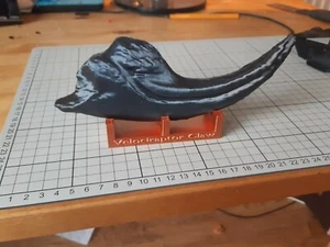 Giant Dinosaur RAPTOR CLAW Jurassic park. Giant Claw 200mm With Stand - Picture 1 of 6