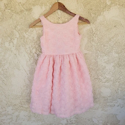 Janie And Jack Dress Girls Size 7 Pink Floral Special Occasion Roses Tulle NWT - Image 1 of 4