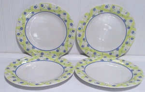 Pfaltzgraff Shelby 11" Dinner Plates Set of 4 - Picture 1 of 4