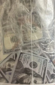 Siesta Collection Area Rug 2’3” x 3’ Hundred Dollar Bills Man Cave Unique Bank - Picture 1 of 3