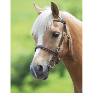 Shires Blenheim Clincher Handtrense - Bild 1 von 2