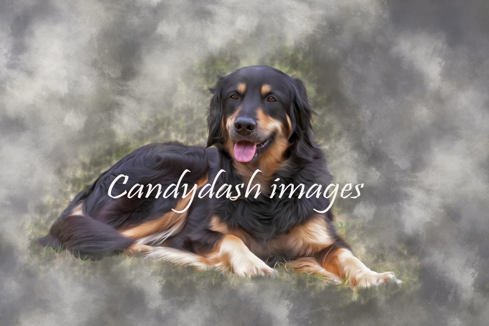 Alta calidad A4 impresión fotográfica arte digital abstracto perro Foto 1 de 1