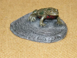 Rotbauchunke  Frosch  Unke  Lurch  Abguß   Lehrmittel  Biologie  Naturschutz - Bild 1 von 2