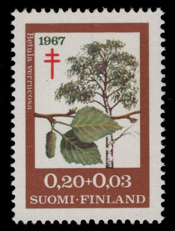 FINLANDIA B179 - Abedul Blanco Europeo "Betula pendula" (pb96620) Foto 1 de 1