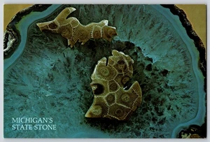 Postcard Continental - Michigans State Stone - Petoskey Stone - Picture 1 of 2