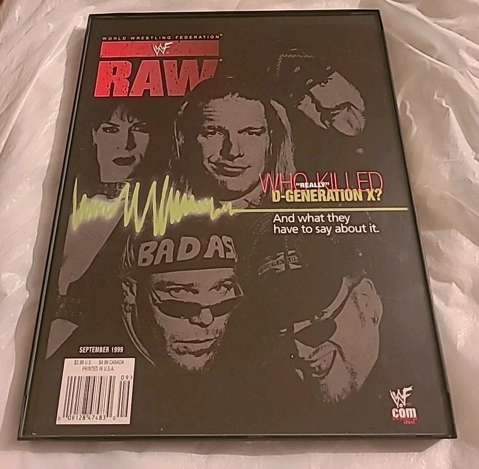 D-Generation X WWF Magazine Cover Framed 8.5x11 1999  - Image 1 of 1