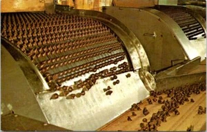 Milk Chocolate Kisses Production Line, HERSHEY, Pennsylvania Postcard - Picture 1 of 2