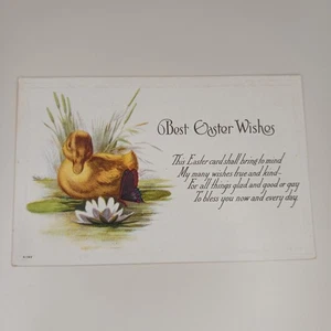 Beste Osterwünsche Postkarte Ente Lilly Pad Teich Blume geprägt gebraucht - Bild 1 von 6