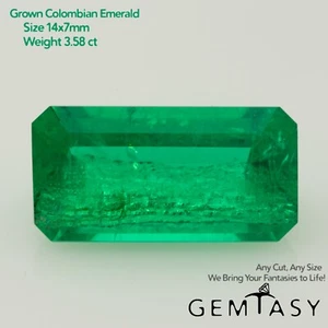 Cut stone - Emerald Colombian hydrothermal lab grown, facet 14x7mm 3.58ct - Picture 1 of 4