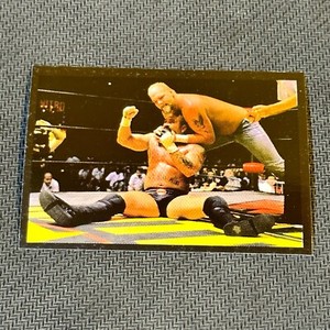 1999 Panini WCW/NWO Sticker Card Singles - New World Order 90's Wrestling