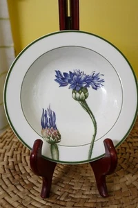 Villeroy & Boch Flora Borde Sopa Cereal Cuenco Porcelana China 7 3/4" Flor LEER - Imagen 1 de 24
