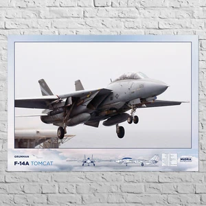 Poster F-14A, Tomcat | 33x24" Big size | With specifications, USAF Aircraft - Picture 1 of 4