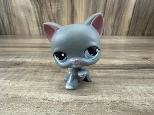 Littlest Pet Shop LPS #74 grau Kurzhaar Kätzchen Katze blaue Augen Pfote hoch  - Bild 1 von 8