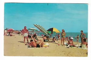 Cartolina vintage auguri dalla Florida - Foto 1 di 2