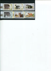 WWF Tayikistán Pallas's Cat 1996 6V con pestañas sin montar o nunca montado Australia SOLO - Imagen 1 de 1