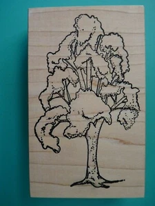 Pagoda Tree, Large EAT CAKE GRAPHICS Rubber Stamp - Picture 1 of 2